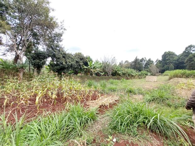 Kikuyu Residential Plots 50 X 100 Plots for Sale - thumbnail 4