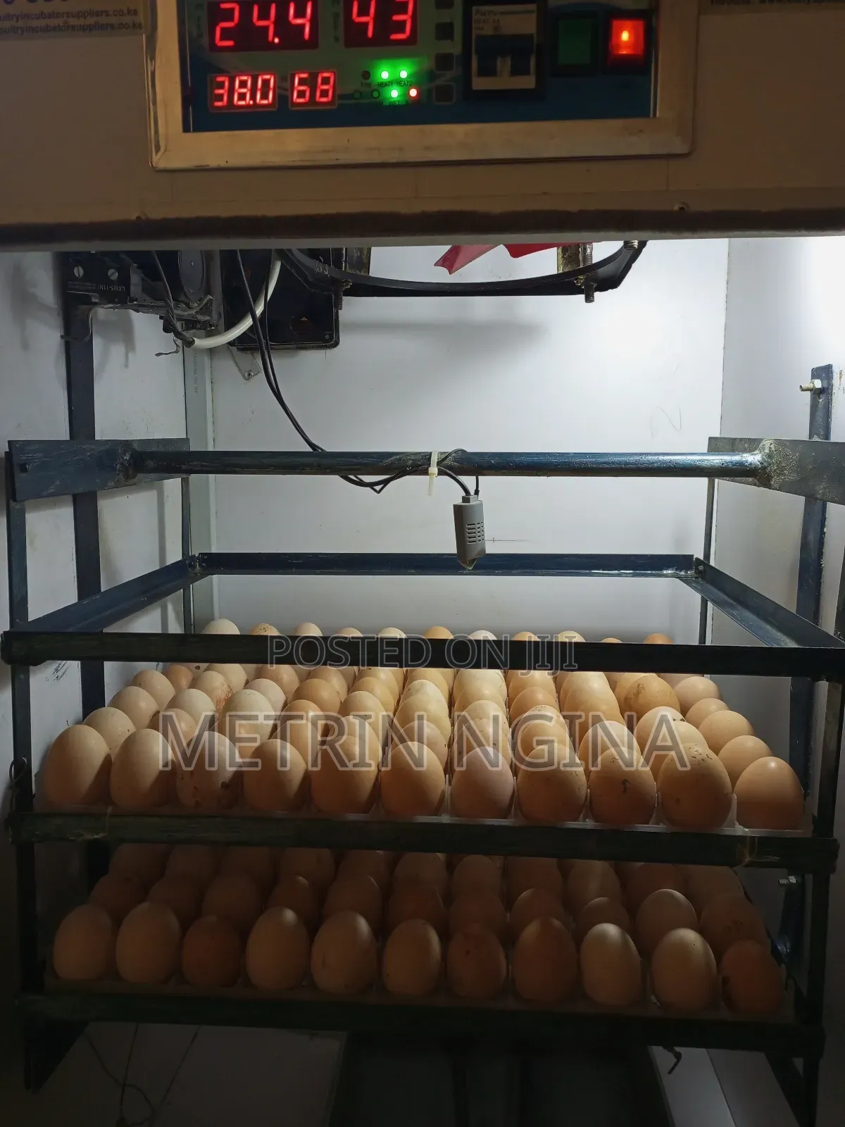 Kenya Poultry Automatic Egg Incubator 264 Eggs Capacity