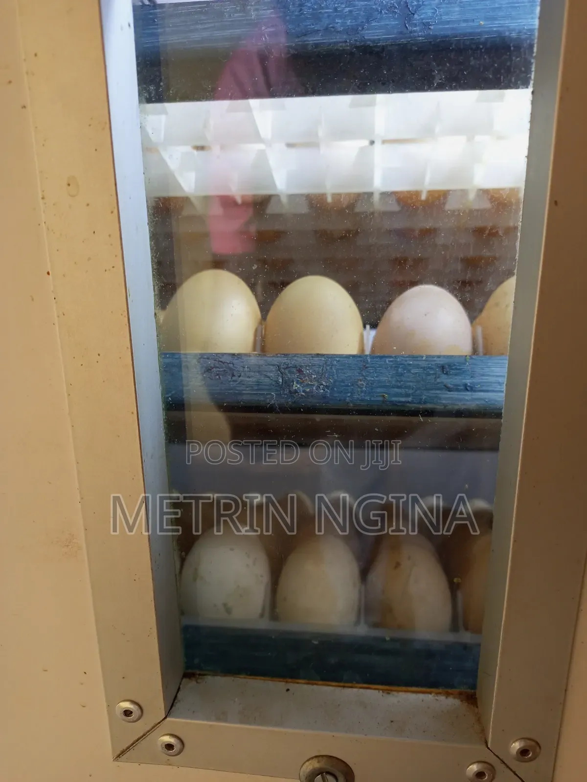 Kenya Poultry Automatic Egg Incubator 264 Eggs Capacity