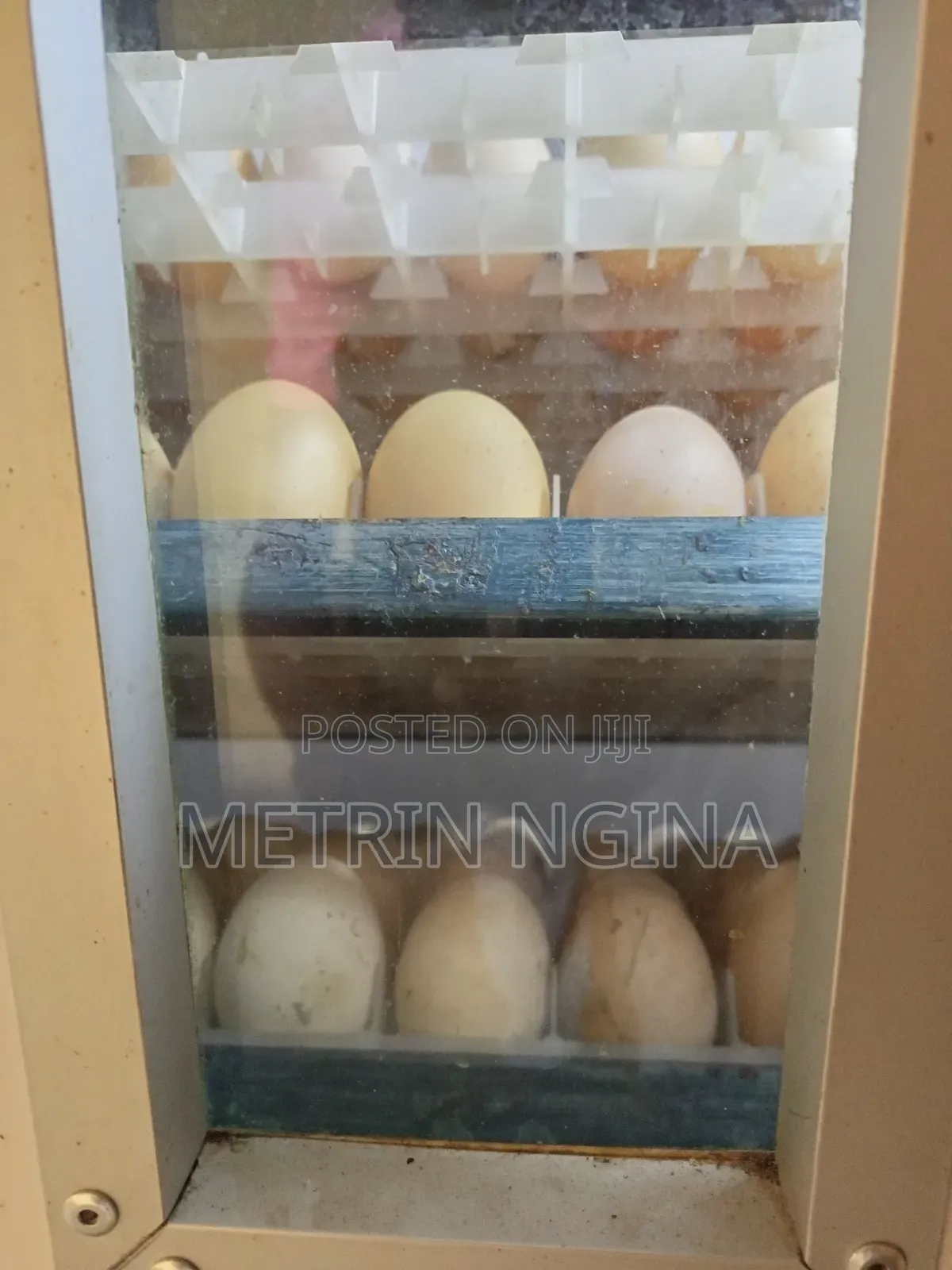 Kenya Poultry Automatic Egg Incubator 264 Eggs Capacity