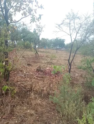 Plot 70 By 100 Ft.