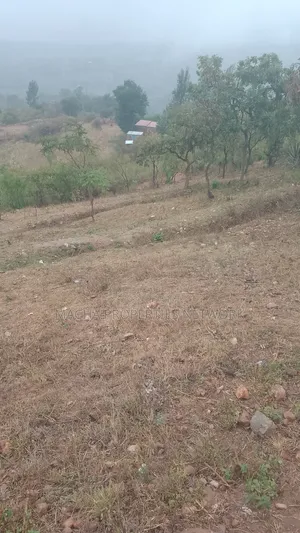 Plot 70 By 100 Ft.