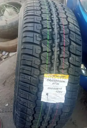 265/55r19 Dunlop Tires