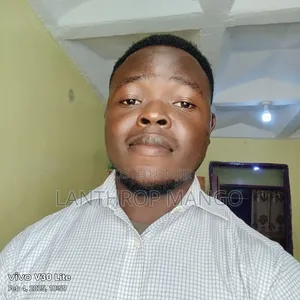 Reliable Online Freelancer: Data Entry, Typing Virtual Tasks Entry