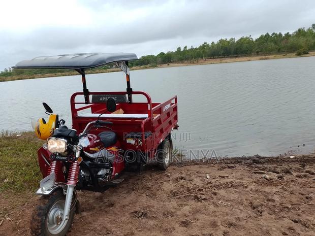 New Apsonic AP200ZH-VIP 2024 Blue - thumbnail 3