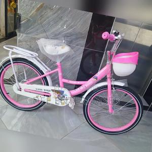 Girl Bike Size 20-Lady Bird - main view