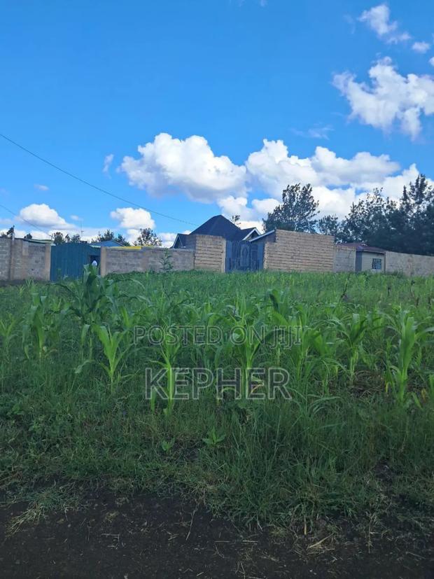 Selling 50*100 Plots at Kenol Kabati - thumbnail 2