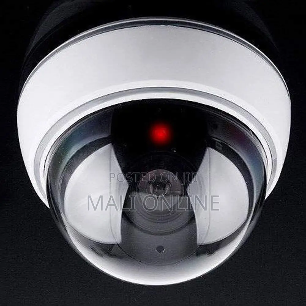 Dummy Dome Cctv Security Camera With Flashing Red Led Light Indoor