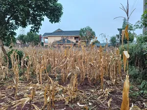 Land for Sale in Thika