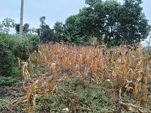 Land for Sale in Thika