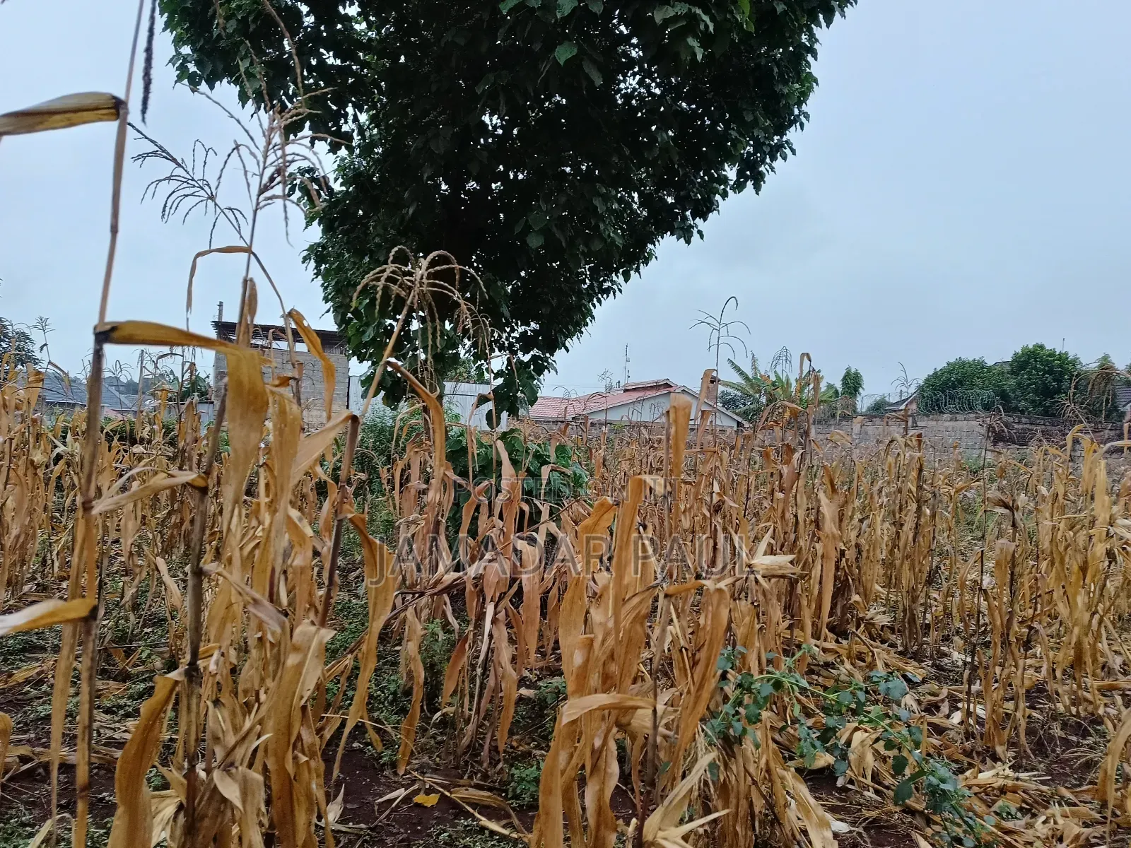 Land for Sale in Thika