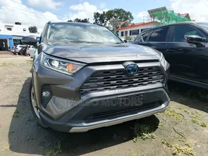 Toyota RAV4 Hybrid 2020 Gray