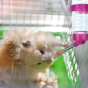 Hamster Water Feeder Bottle, No-Drip Small Animals Water Dispenser