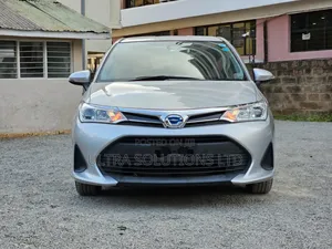 Toyota Corolla Fielder 2018 Silver