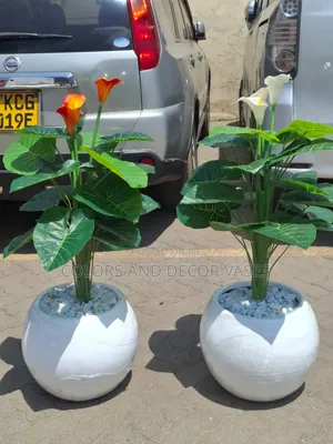 Flowered Plants With Plastic or Glass Fibre Vase