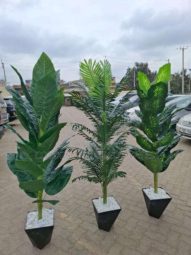 Long Beautiful Plants With Black Vases