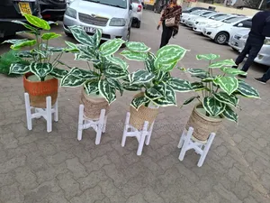 White Elegant Wooden Stools With Baskets and Plants