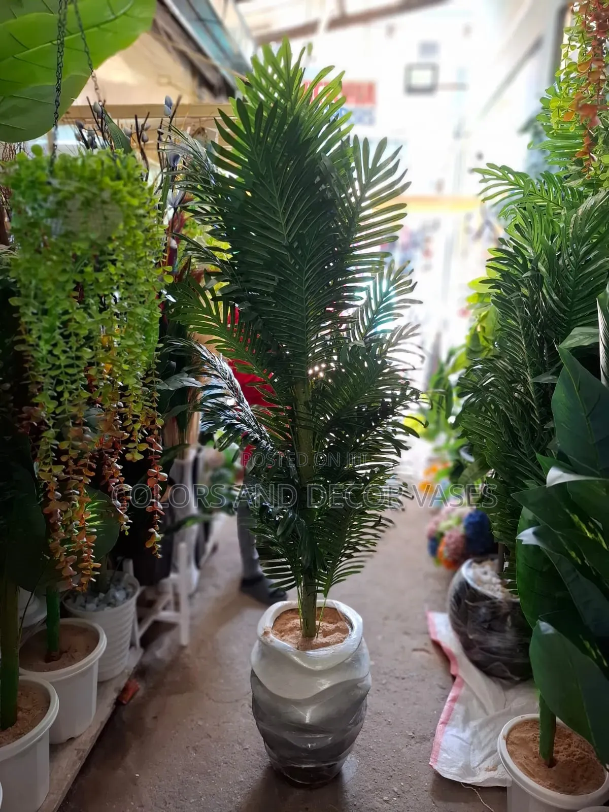 Glass Fibre Vase and Long Palm Tree