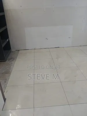 Tiling, Cladding, Painting and Ceiling