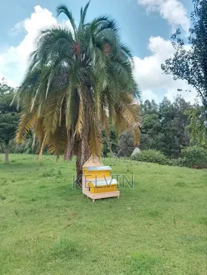 Agricultural