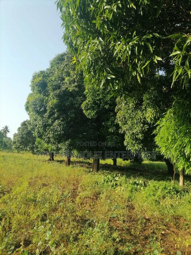 Land for Sale Lunga Lunga in Kwale County It's 28acreas - thumbnail 3