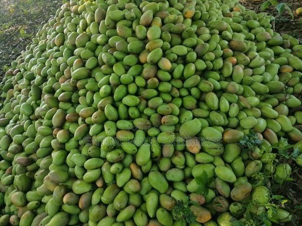 Land for Sale Lunga Lunga in Kwale County It's 28acreas - thumbnail 5