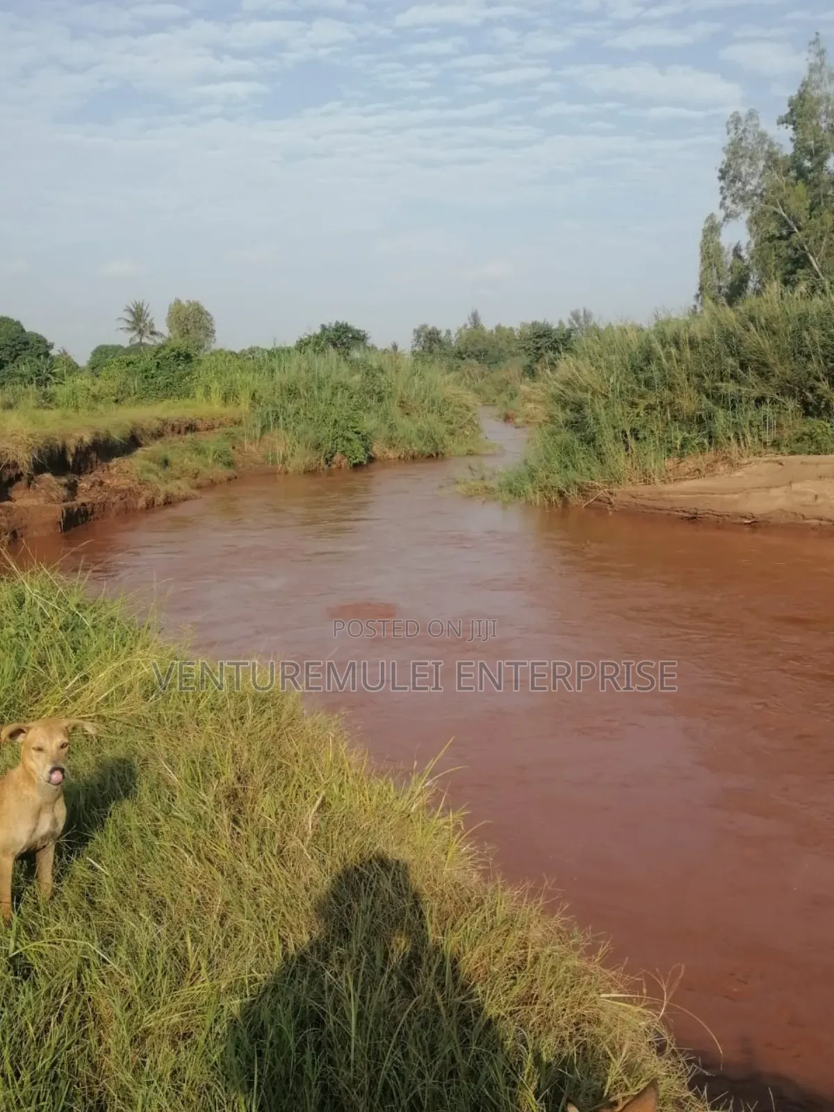 Land for Sale Lunga Lunga in Kwale County It's 28acreas
