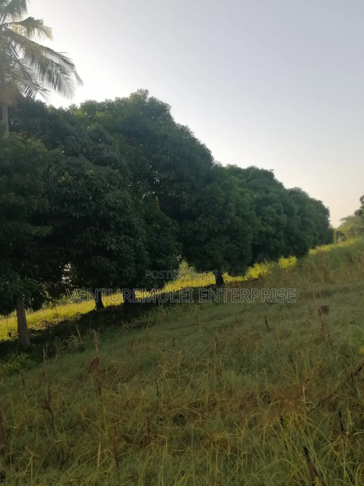 Land for Sale Lunga Lunga in Kwale County It's 28acreas