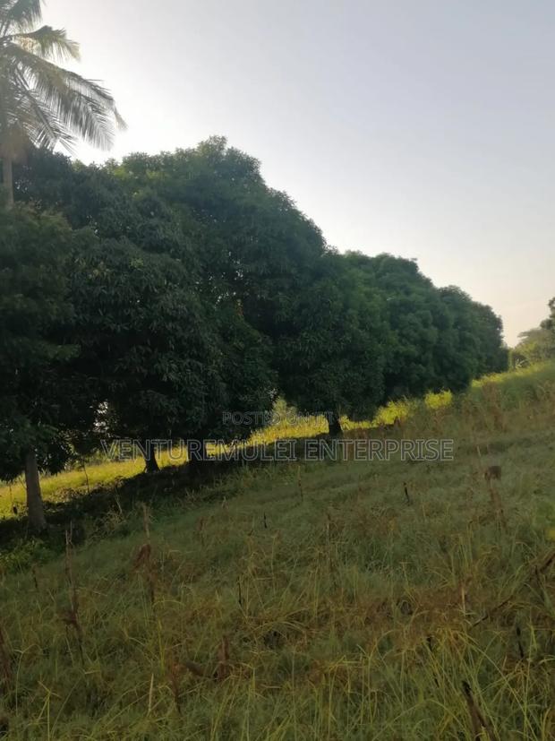 Land for Sale Lunga Lunga in Kwale County It's 28acreas - thumbnail 12
