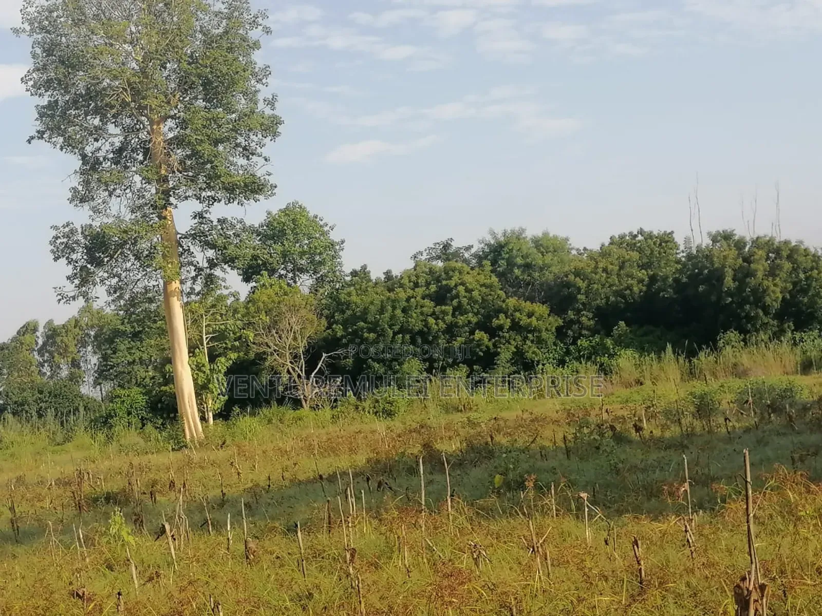 Land for Sale Lunga Lunga in Kwale County It's 28acreas