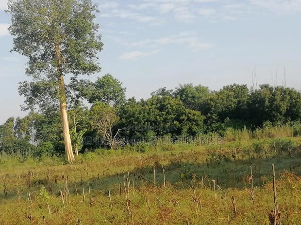 Land for Sale Lunga Lunga in Kwale County It's 28acreas - thumbnail 14