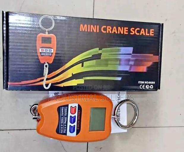 Affordable 200kg Crane Scale - main view