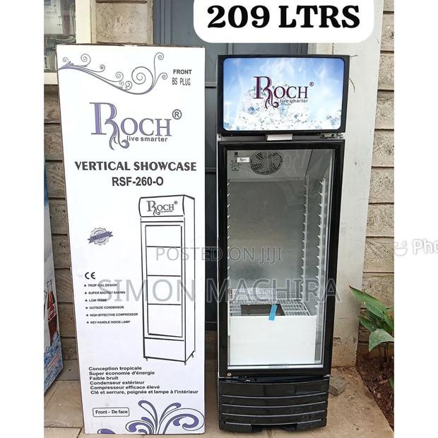 209 Litres Roch Vertical Showcase Model RSF-260 - main view