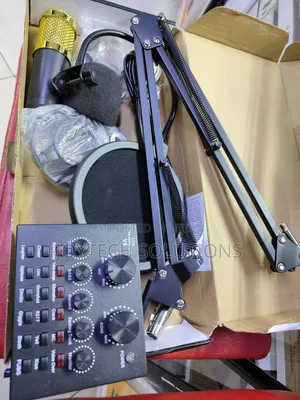 Bland New Musical Condenser Microphone