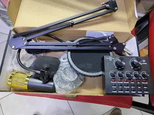Bland New Musical Condenser Microphone
