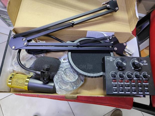 Bland New Musical Condenser Microphone - main view