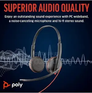 Poly Blackwire 3225 Stereo Usb-C Headset