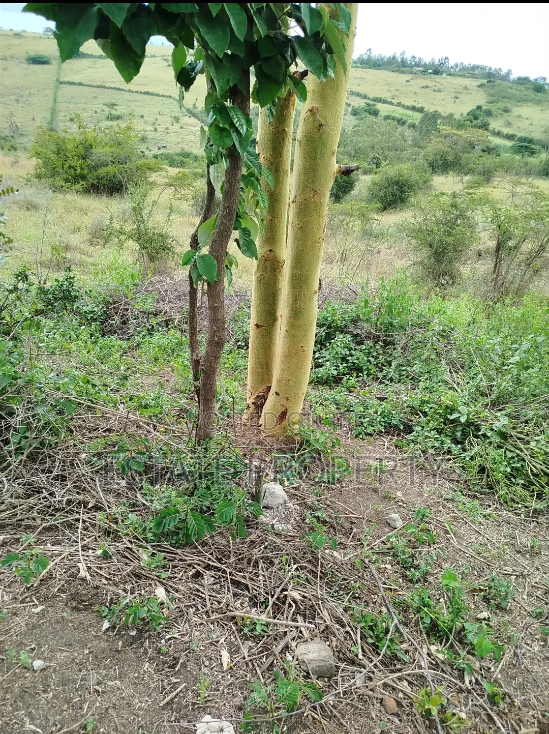 1 Acre Parcel at Kiserian, Off Pipeline Road Close to Olerai School