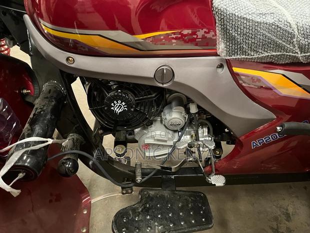 New Apsonic AP200ZH-VIP 2024 Red - thumbnail 4