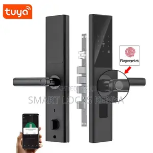 Biometric Intelligent Door Lock Tuya Wifi Remote Unlock