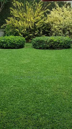 Artificial Grass Carpet for Home Commercial Spaces | Soft Durable