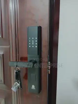 Smart Digital Fingerprint Doorlock Tuya Wifi Intelligent Door Lock