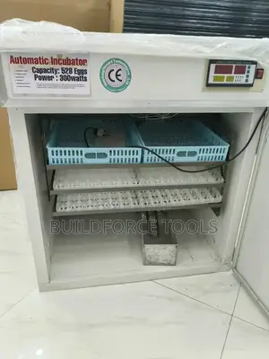 Automatic Egg Incubator