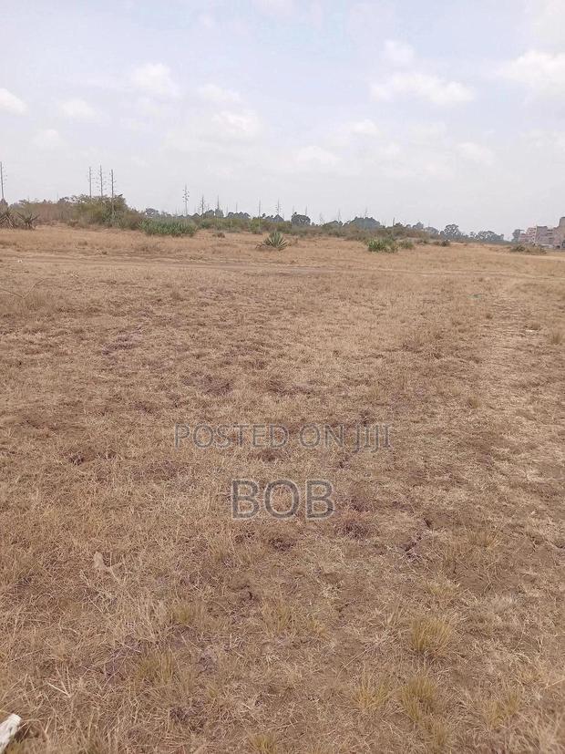 50*100 Plots in Kiseuni-Matuu - main view