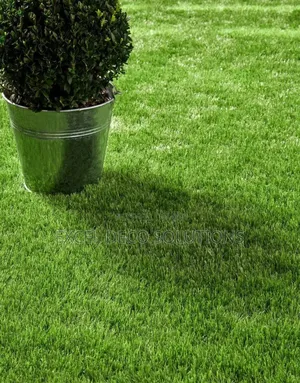 Artificial Grass Carpet Kenya | Soft Green Year-Round | Thickness