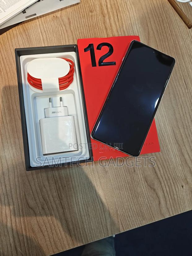 New OnePlus 12 1 TB Silver - thumbnail 2