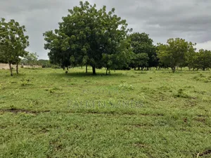 Galu Kinondo 3 Acres on Sale