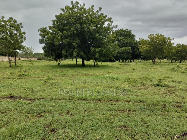 Galu Kinondo 3 Acres on Sale - thumbnail 5