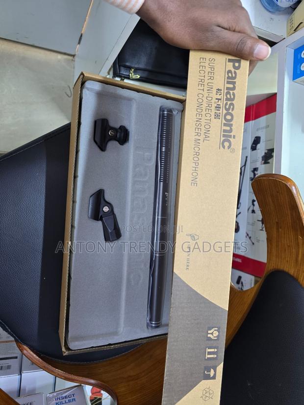 Panasonic Uni-Directional Condenser Microphone for Recording