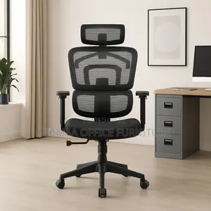 Office Seat: Orthopedic With Coat Hanger Mesh Seat